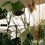 Evergreen - Stylish & Spacious Old Town Apartment With Ac, 1,5 Bath, Family-Friendly