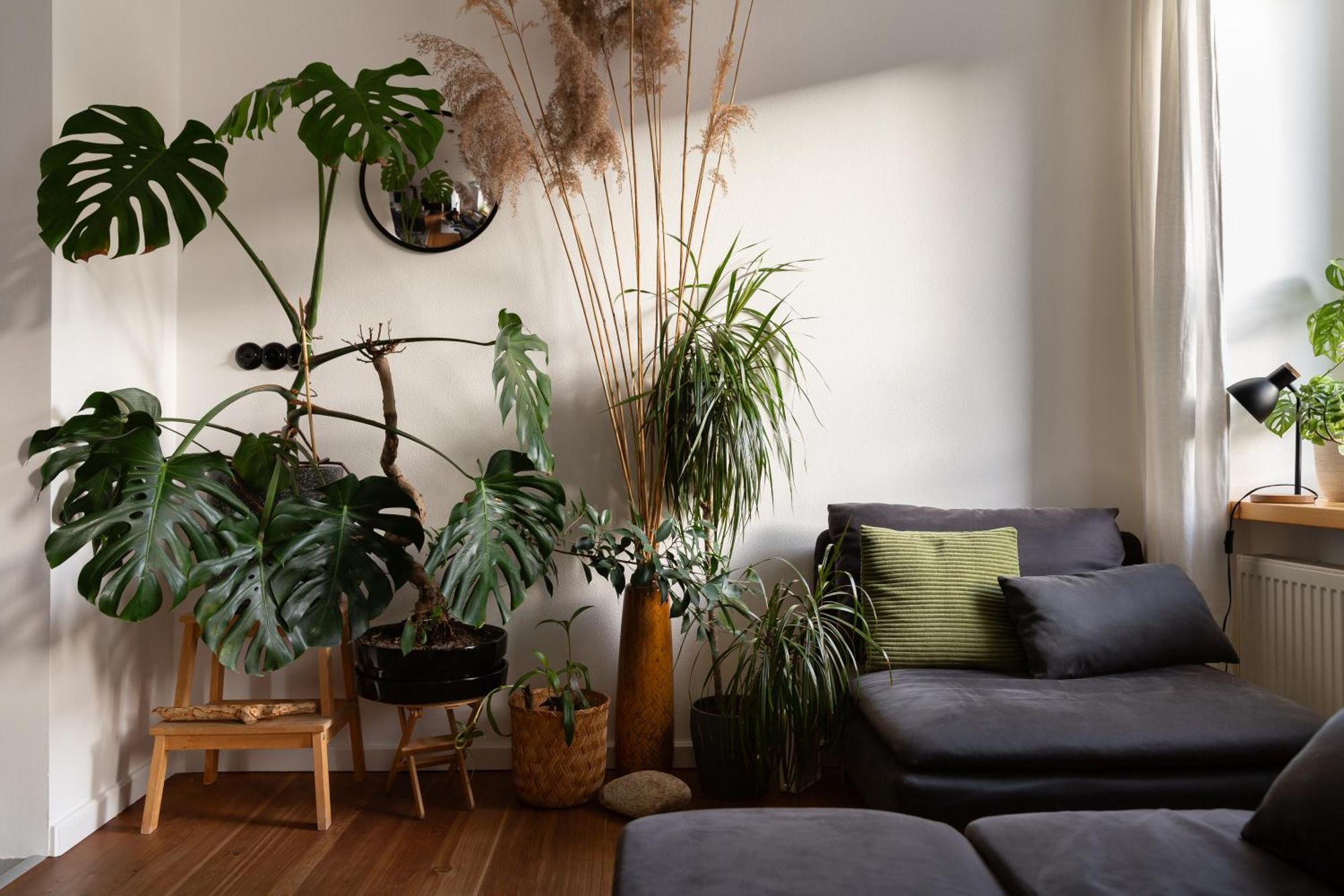 Appartement Evergreen - Stylish & Spacious Old Town Apartment With Ac, 1,5 Bath, Family-Friendly *
