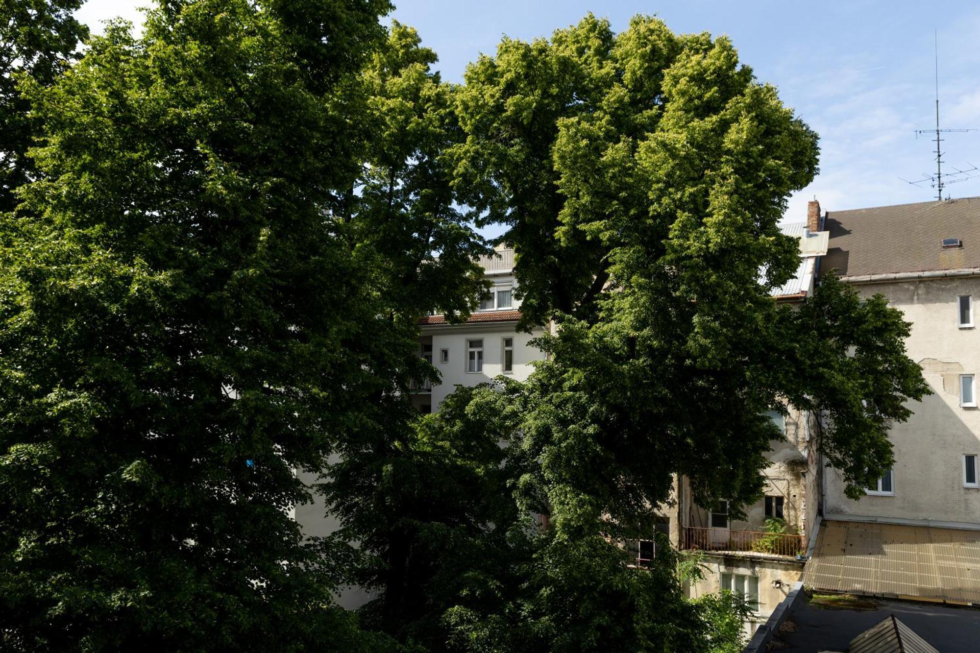 Evergreen - Stylish & Spacious Old Town Apartment With Ac, 1,5 Bath, Family-Friendly